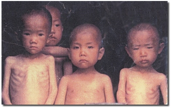 bimbi.jpg (48631 bytes)